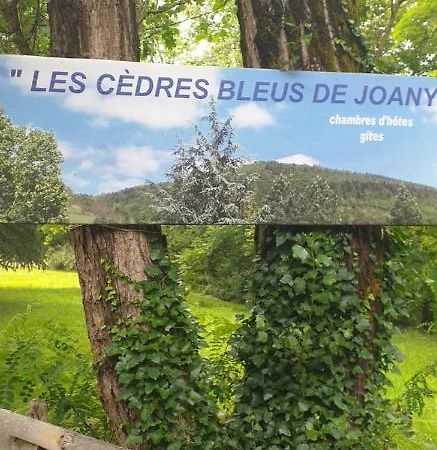 Cedres Bleus De Joany Chez Nathalie Viviez Экстерьер фото