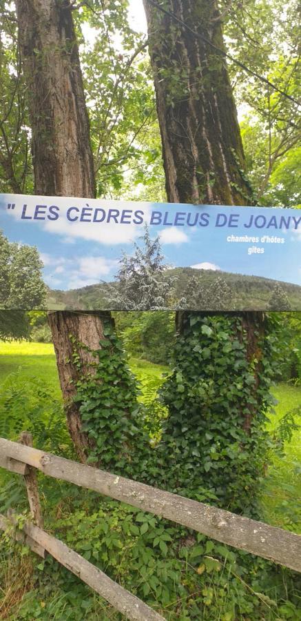 Cedres Bleus De Joany Chez Nathalie Viviez Экстерьер фото